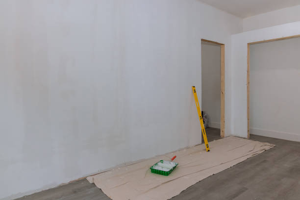 Best Post-Construction Mold Inspection  in Dyersburg, TN