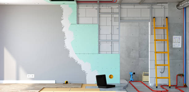 Best Biohazard Mold Removal  in Dyersburg, TN
