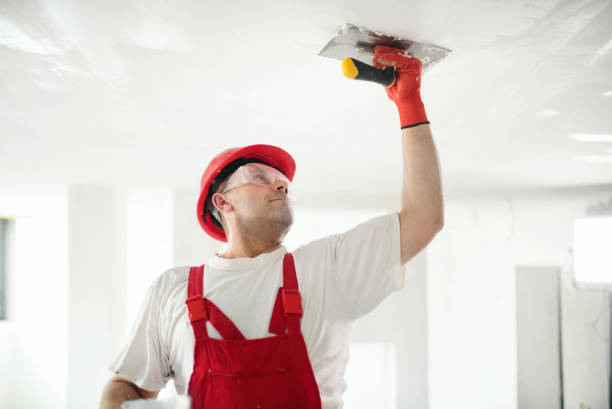 Best Commercial Mold Inspection  in Dyersburg, TN