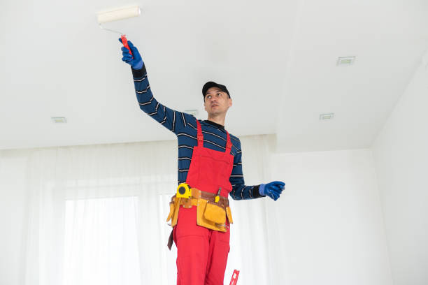 Best Comprehensive Air Testing for Mold Contaminants  in Dyersburg, TN