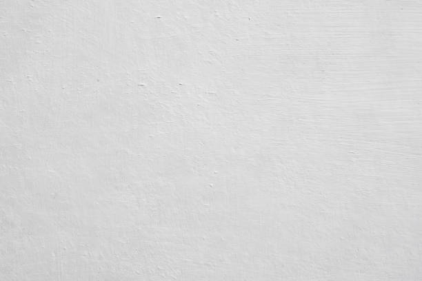 Best Black Mold Removal  in Dyersburg, TN
