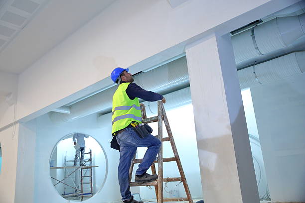 Trusted Dyersburg, TN Mold Removal Experts