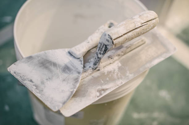 Best Basement Mold Removal  in Dyersburg, TN